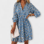 Diabild